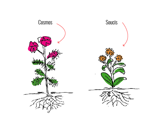 170328_PP_RIVP-5