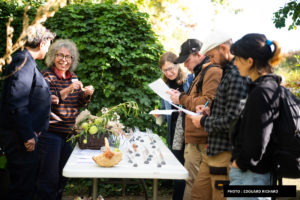 Animation botanique