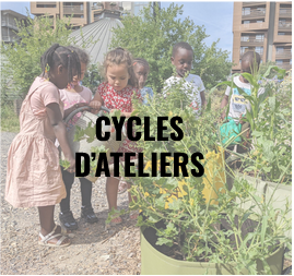 cycle d'ateliers home