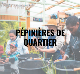 pepinieres de quartier home