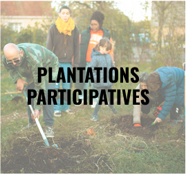 plantations participatives home